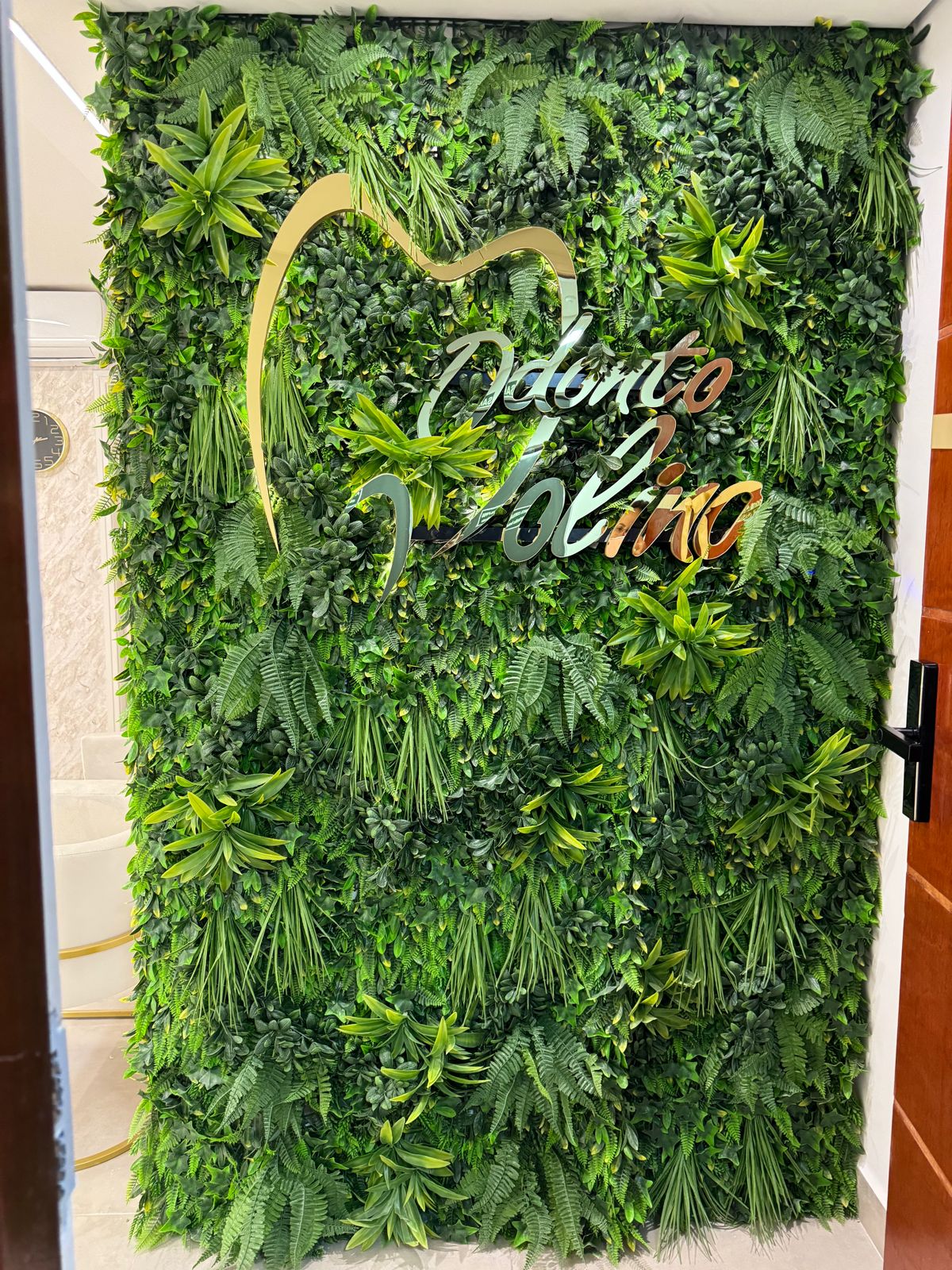 Recepção - Odonto Molina